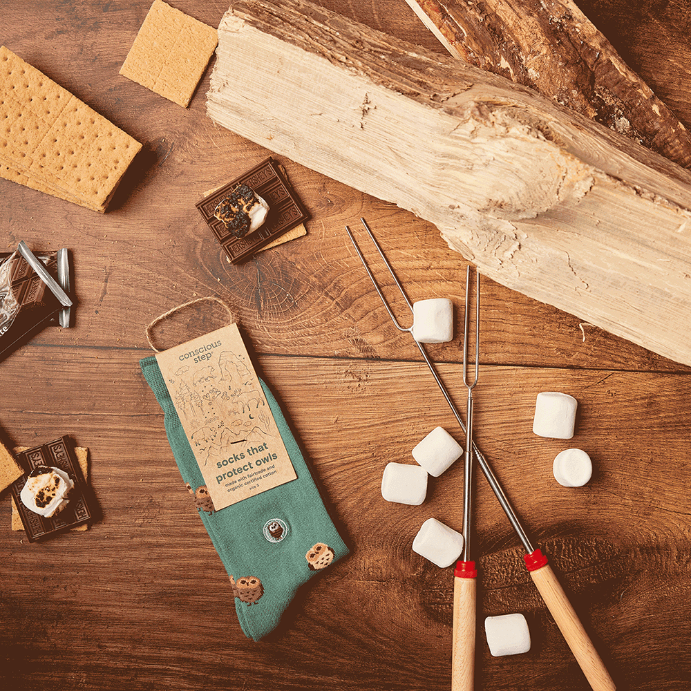 Socks that Protect Owls - Conscious Step