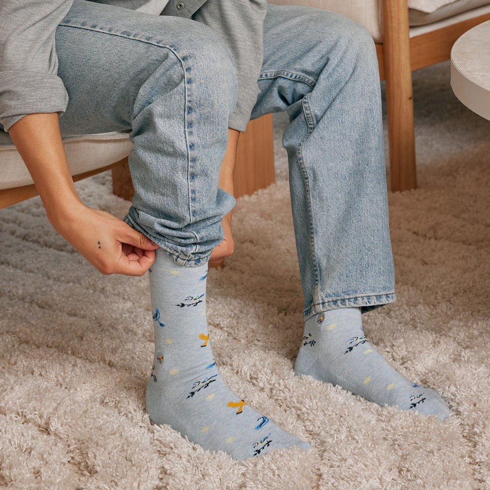 Socks that Protect Songbirds - Conscious Step
