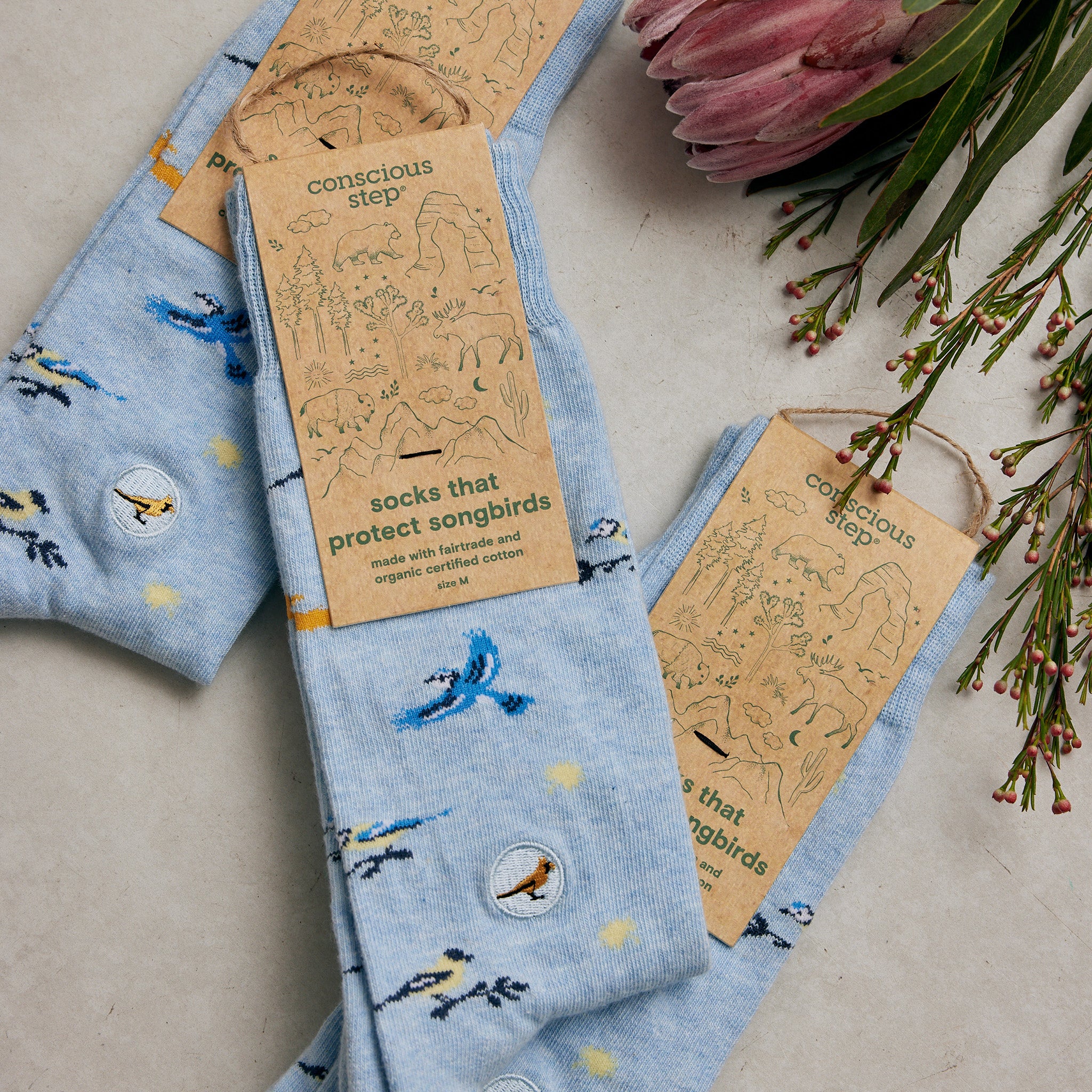 Socks that Protect Songbirds - Conscious Step