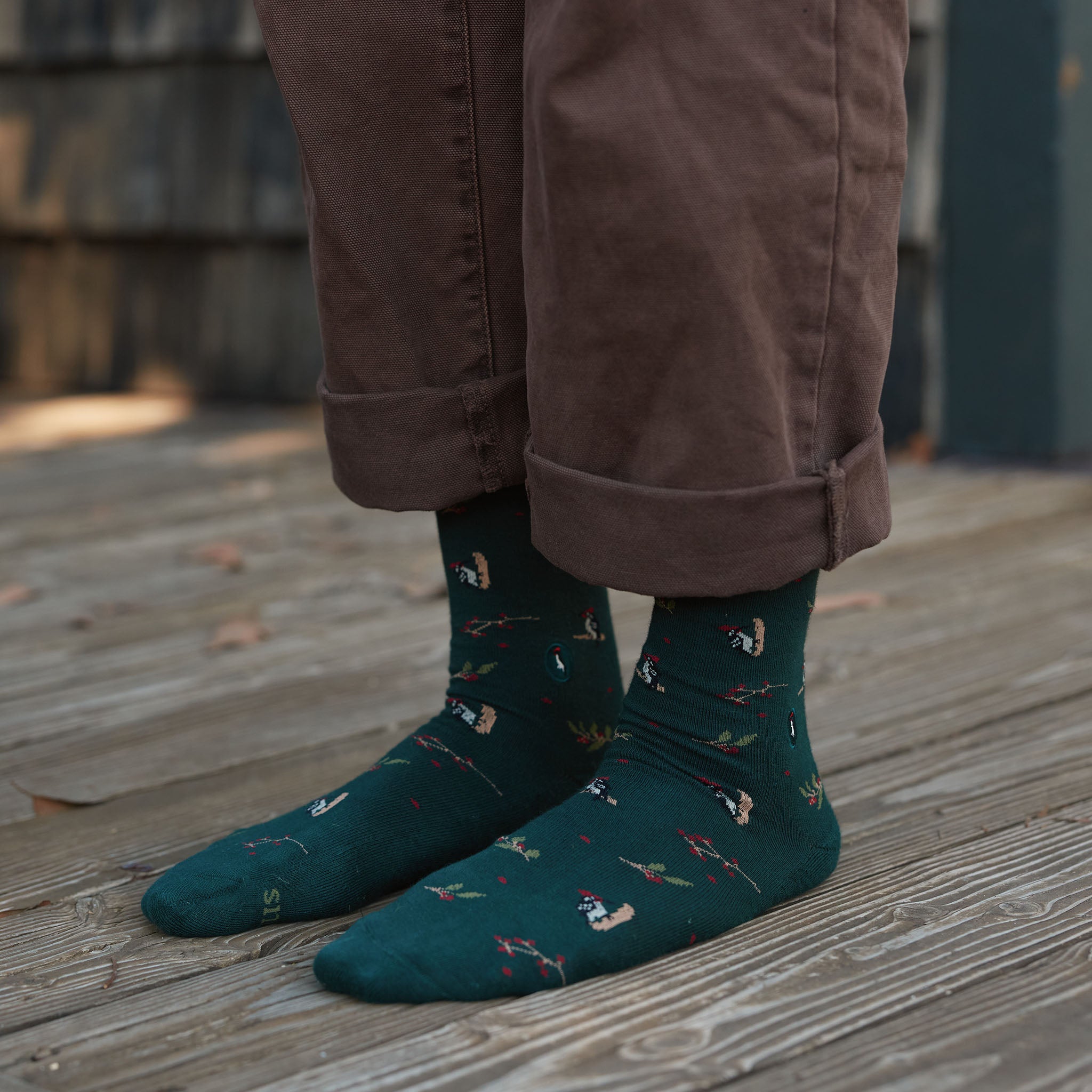 Socks that Protect Woodpeckers - Conscious Step