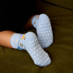 Kids Socks that Protect Songbirds - Conscious Step