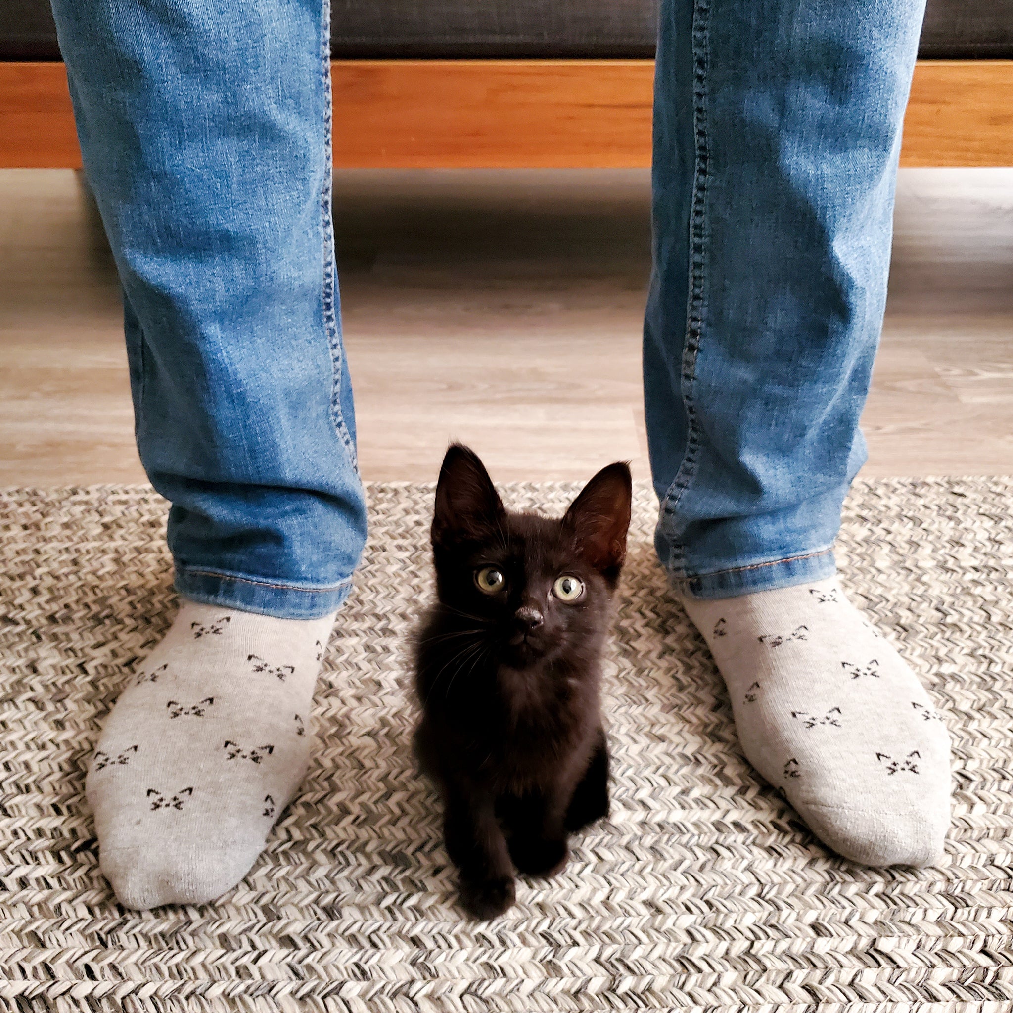 Save Cats with Every Purchase  Sustainable Socks for a Cause – Conscious  Step