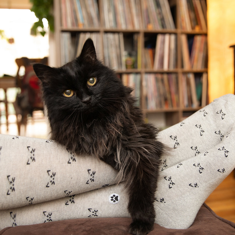 Socks that Save Cats - Conscious Step