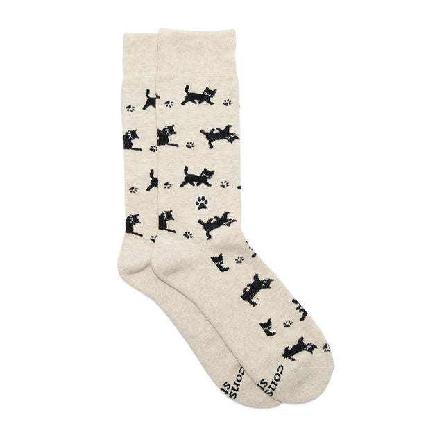 Socks that Save Cats - Conscious Step