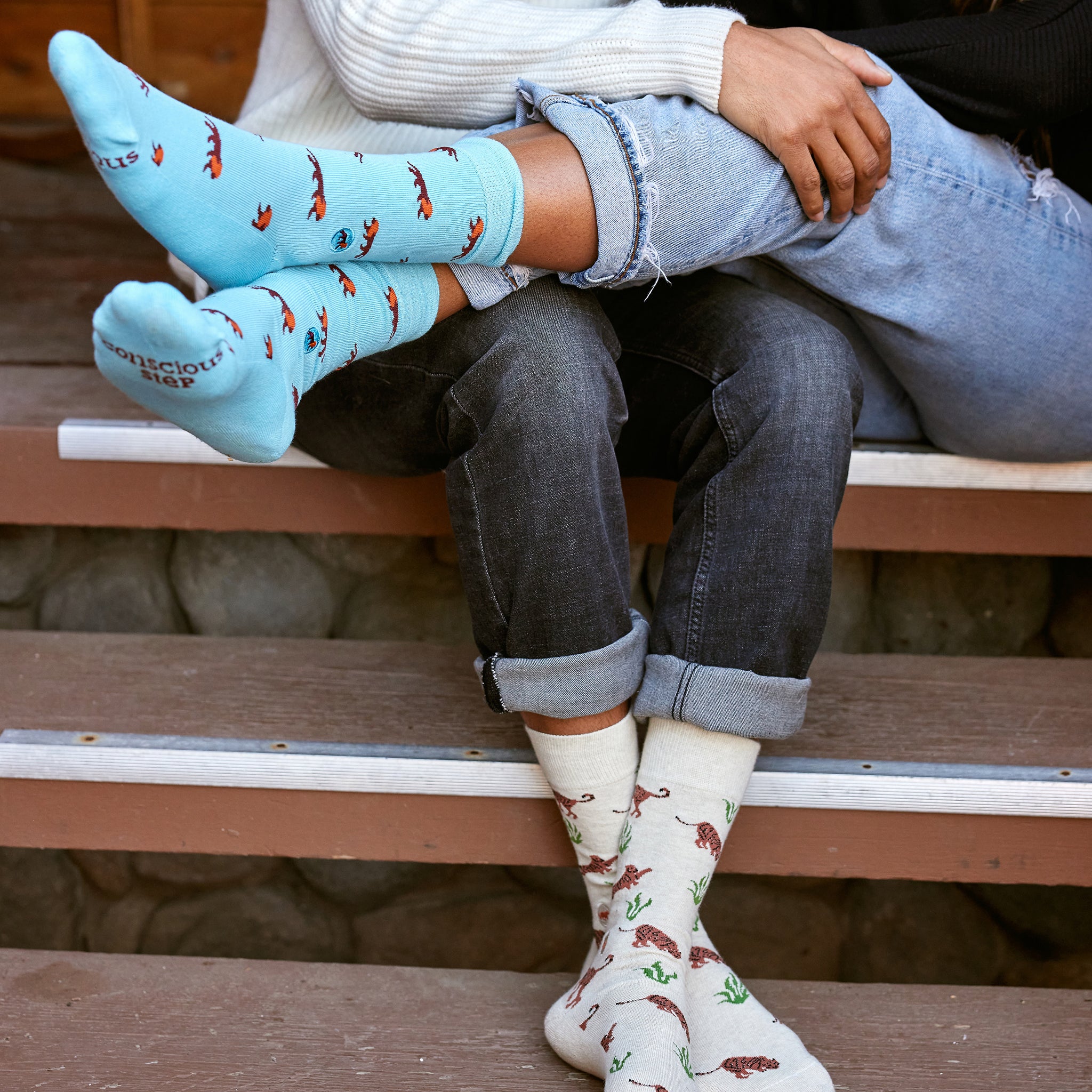 Socks that Protect Lions - Conscious Step