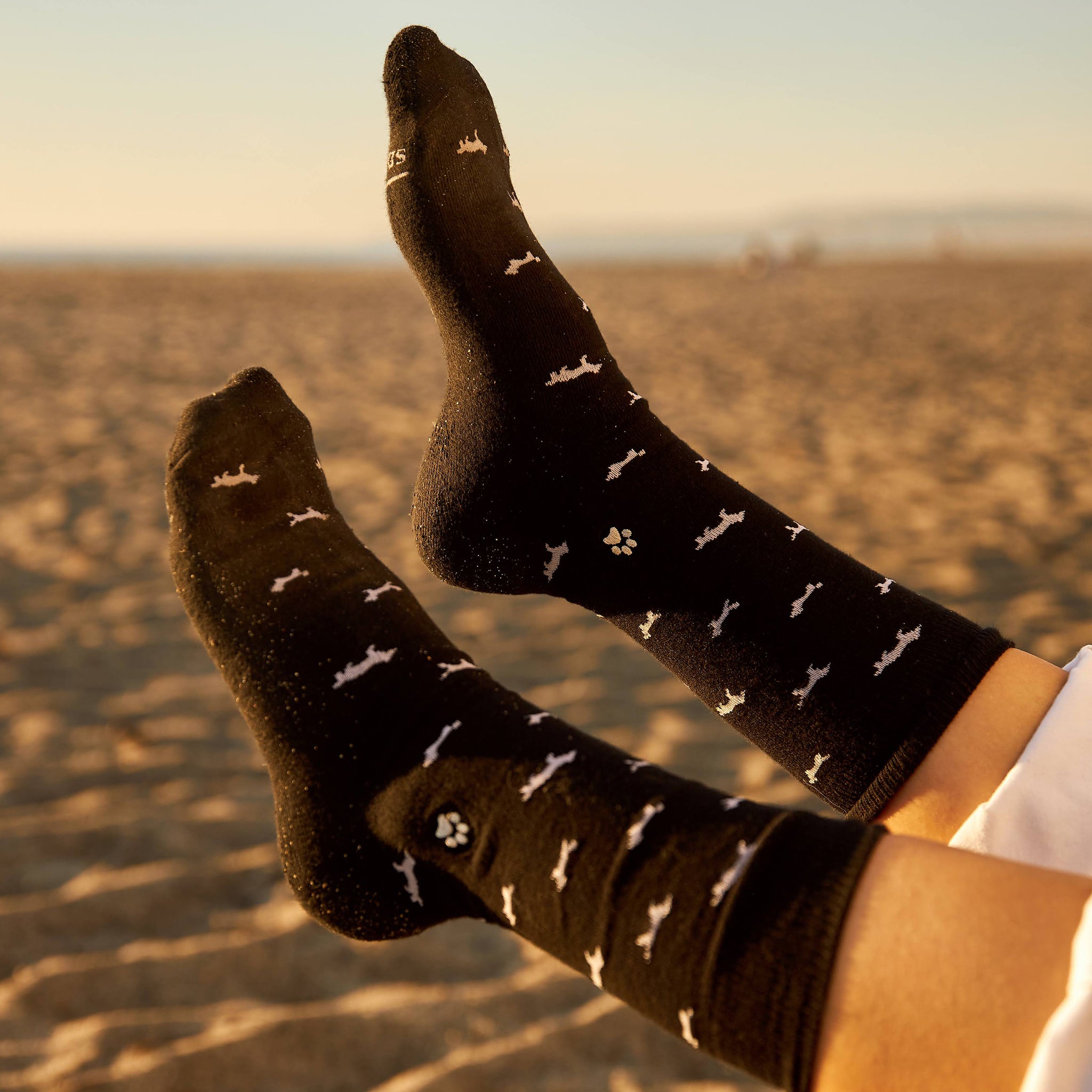 Socks that Save Dogs - Conscious Step