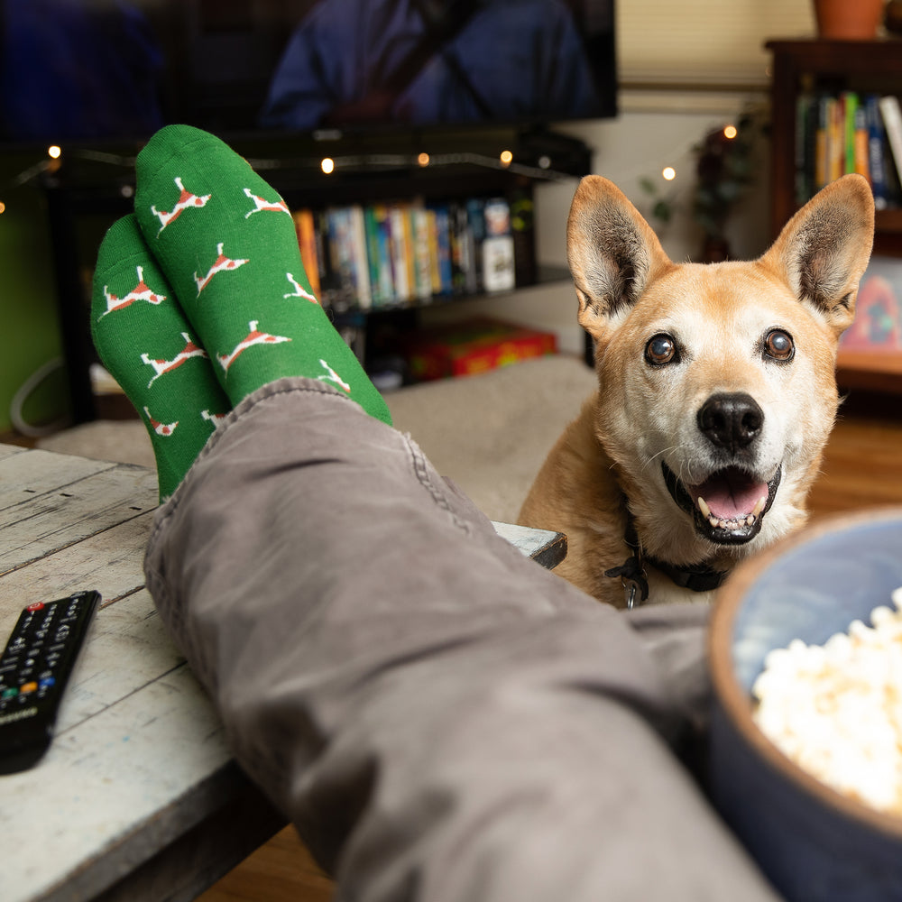 Socks that Save Dogs - Conscious Step
