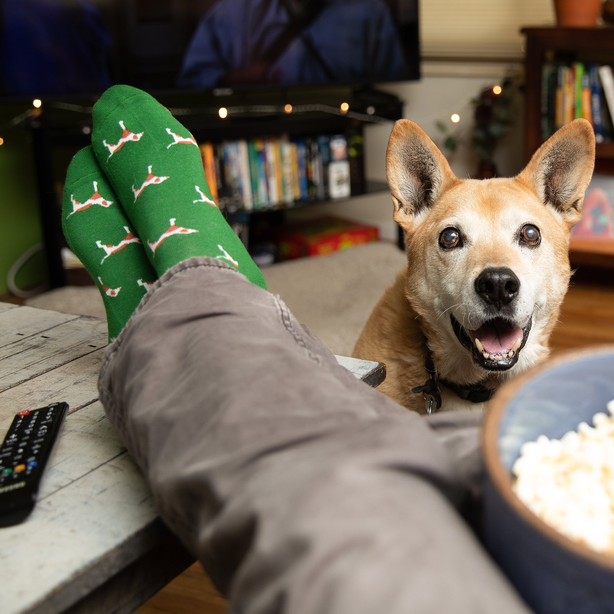 Socks that Save Dogs - Conscious Step