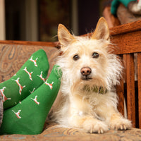 Save Dogs Gift Box - Conscious Step