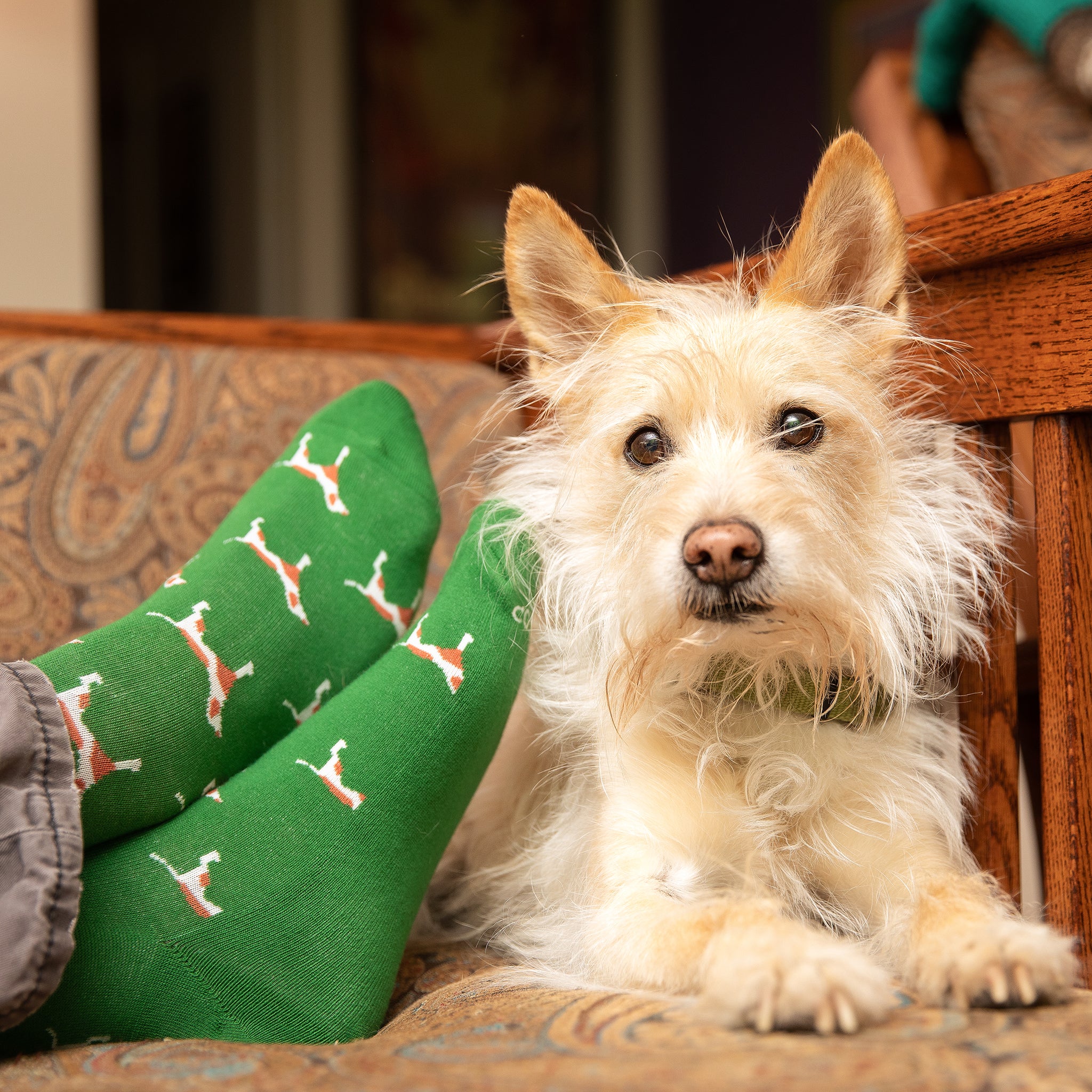 Socks that Save Dogs - Conscious Step