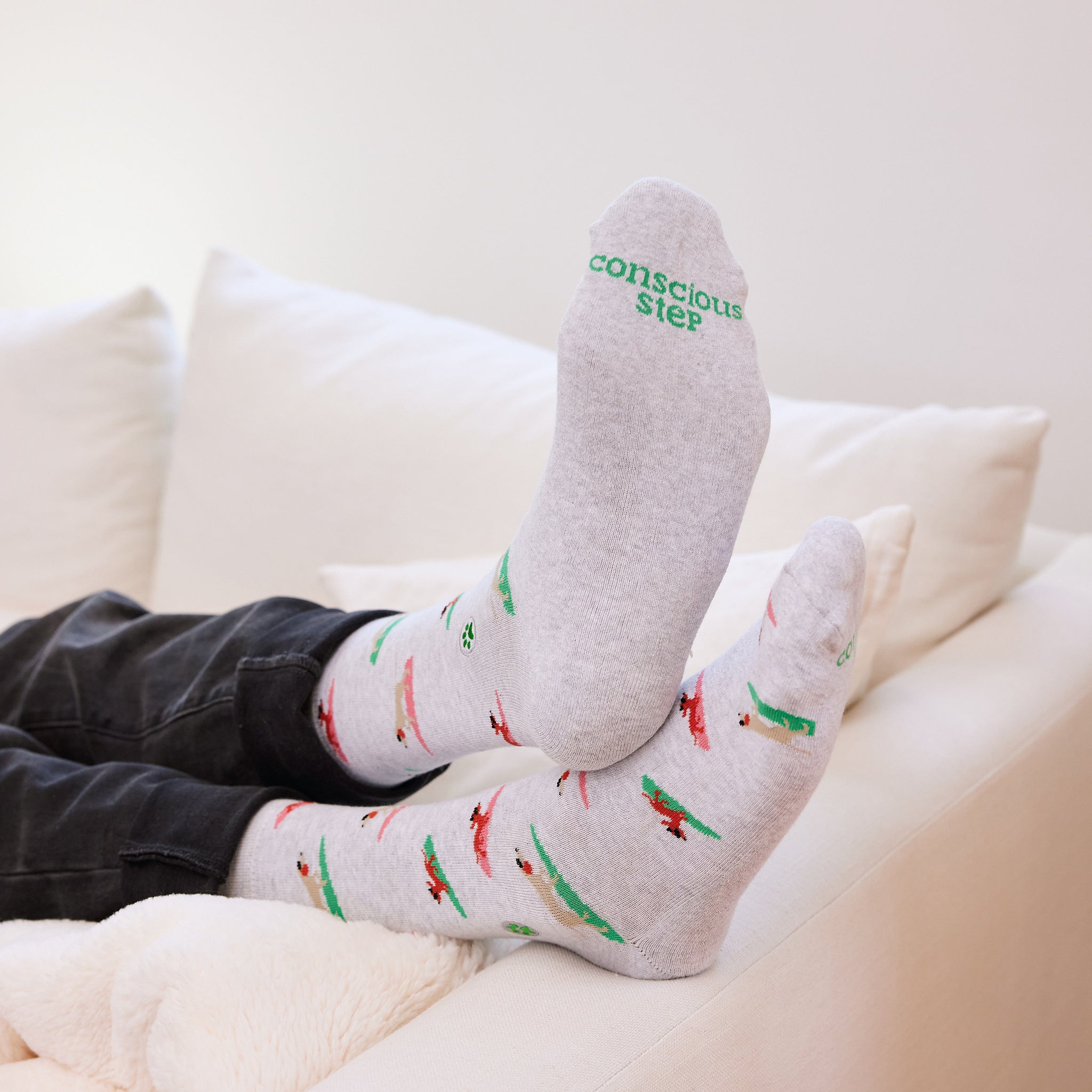 Socks that Save Dogs - Conscious Step