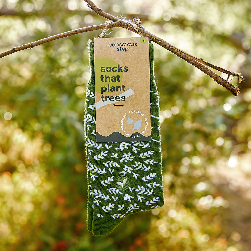 33 Fun, Useful Presents for Plant Parents | 2024 Picks