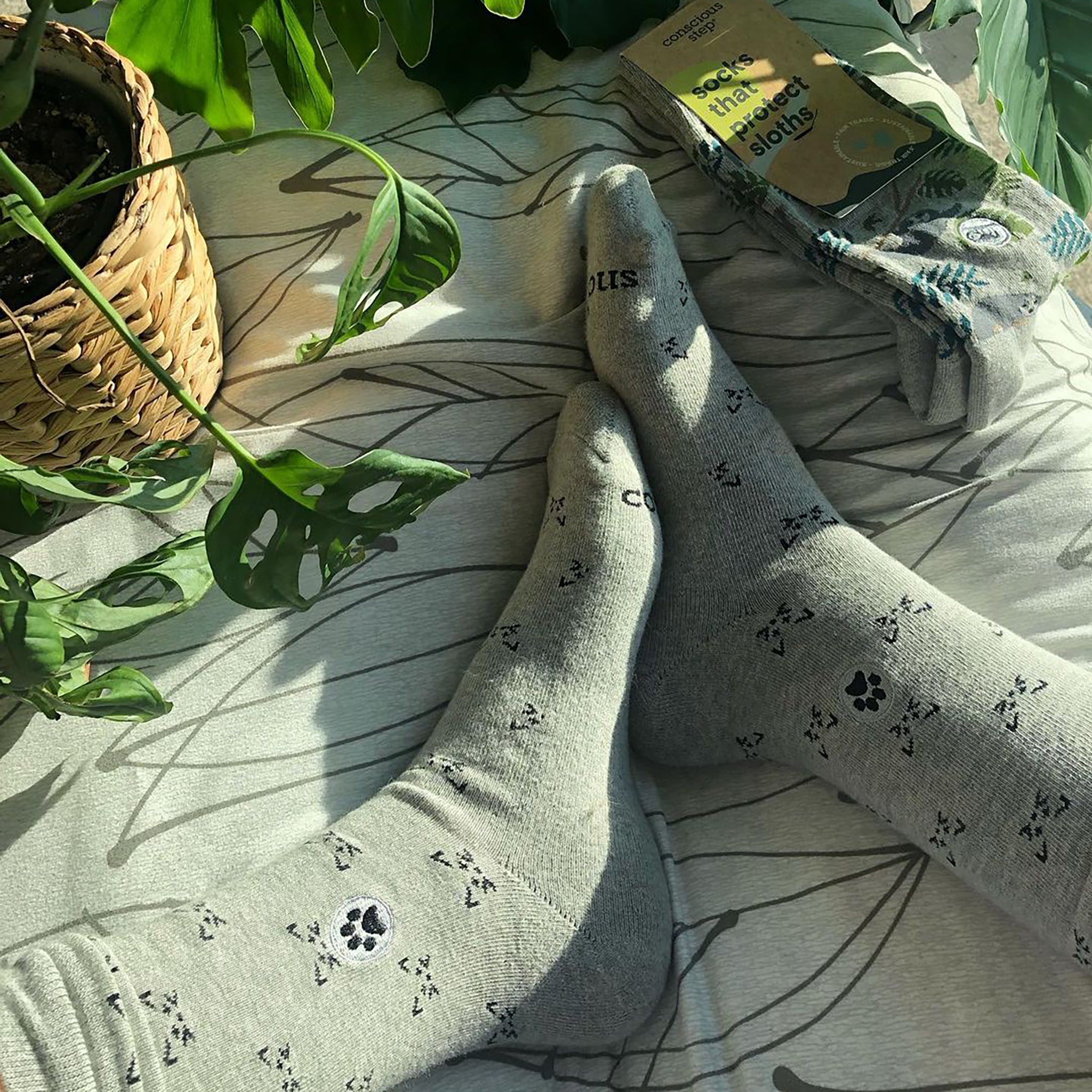 Socks that Save Cats - Conscious Step