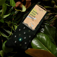 Socks that Plant Trees - Conscious Step