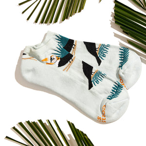 Socks that Protect Toucans